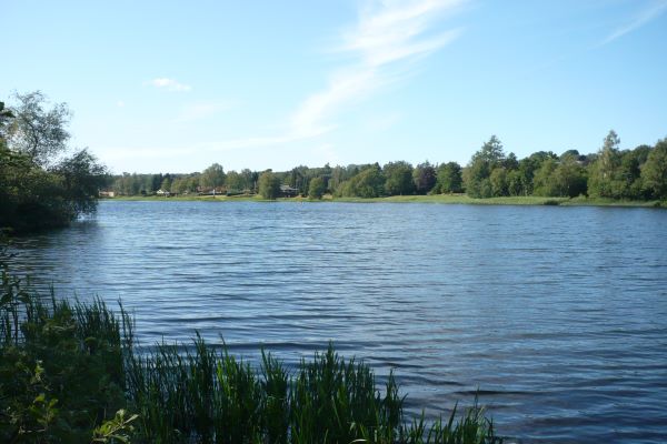 Bryrup Langsø og nabosøen Karlsø er god at vandre rundt om.