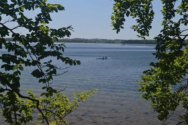 Husoddestien ved Horsens