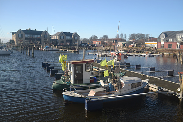 Lystbådehavnen i Thisted