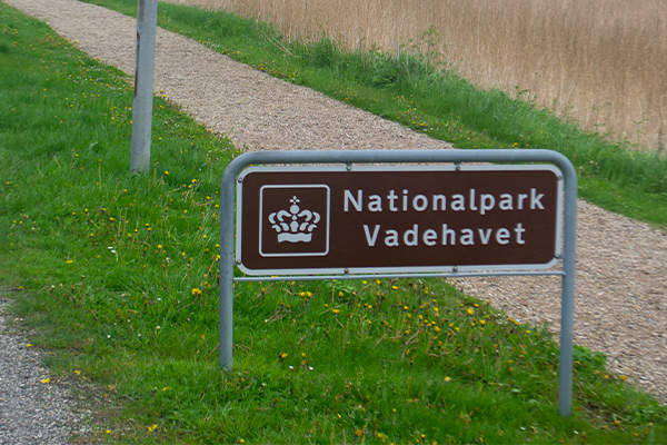 Vadehavet har været nationalpark siden 2008 - og verdensarv siden 2014.