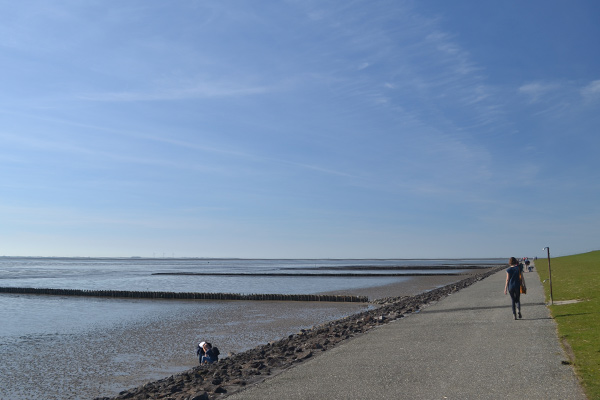 Fladt, fladt, faldt. Vadehavet byder på åbne vidder.