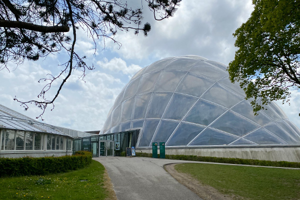 Væksthusene ligger midt i Botanisk Have og giver dig varmen på en kold dag.