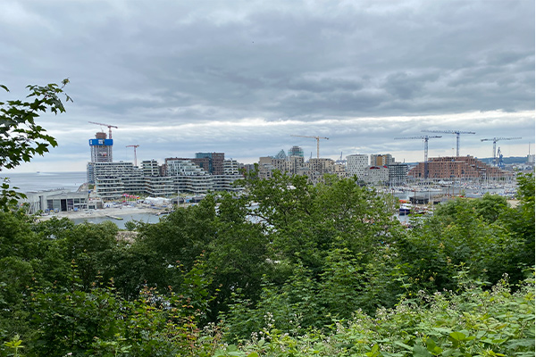 Udsigt over Aarhus Ø fra Riis Skov