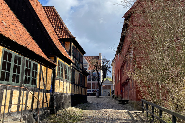 Den Gamle By fremviser et historisk købstadsmiljø af ægte, gamle huse.