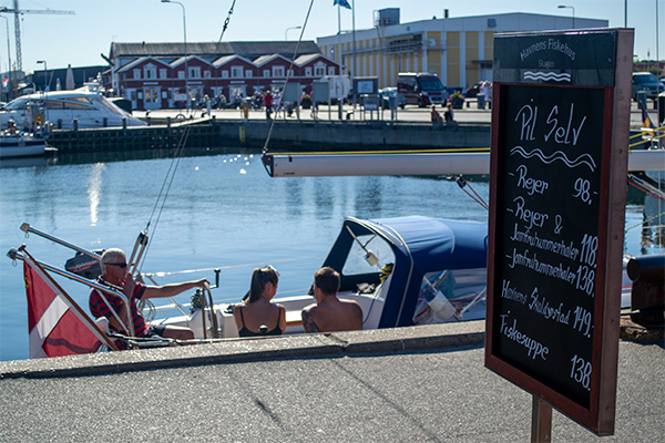 I sommermånederne syder det af liv i havnen.