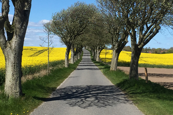 Samsø