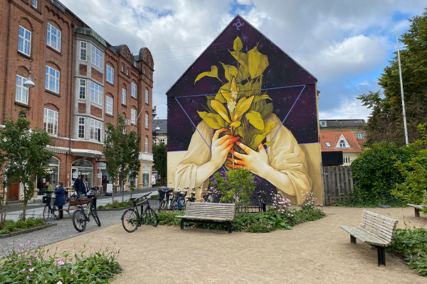 Der er masser af street art i Aalborg
