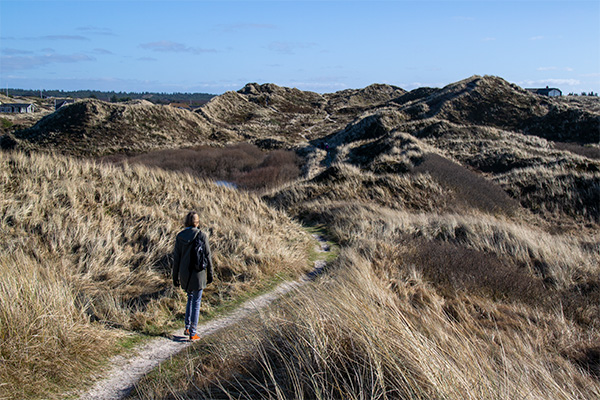 Det er en helt særlig oplevelse af vandre rundt i klitheden bag Henne Strand