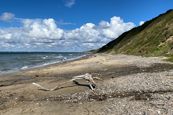 På stranden kan man se klintens blotlagte profil