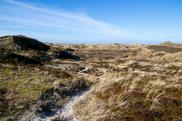 Kiltlandskabet ved Henne Strand indbyder til vandreture