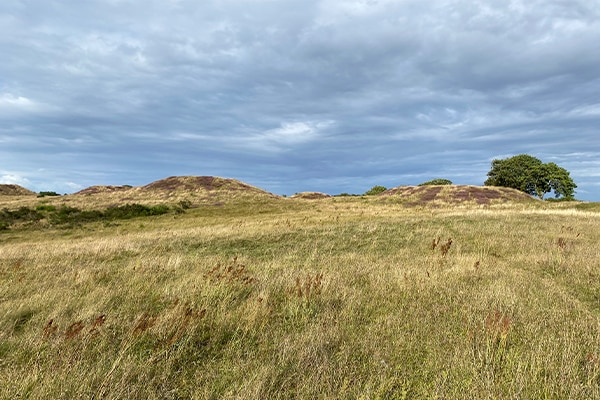 Jernalderhøjene rager fint op i landskabet.