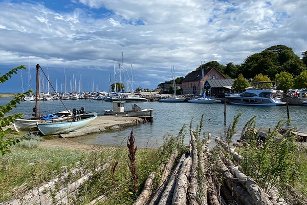 Bag havnen foler den fredede Norsminde Fjord sig ud