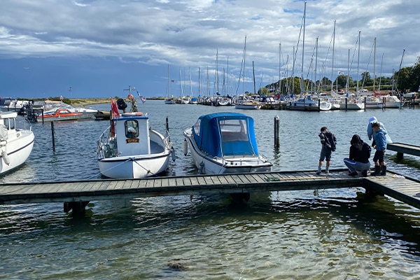 Der er noget med børn og bådebroer...