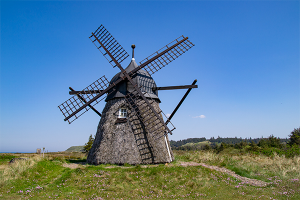 Den gamle lyngmølle ved Grønnestrand er landets eneste tilbageværende mølle beklædt med lyng.