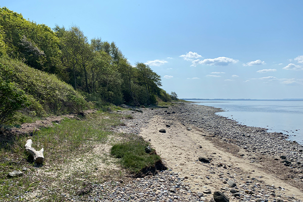 Strand på Louns-halvøen