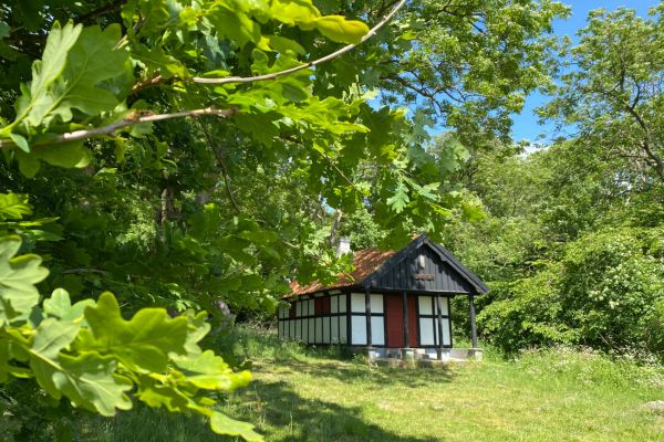 Den idylliske skovhytte, Thyrahytten, ligger i Hestehave Skov med udsigt til Kalø Slotsruin.