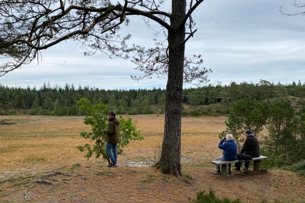... andre gange er Syvårssøerne næsten væk