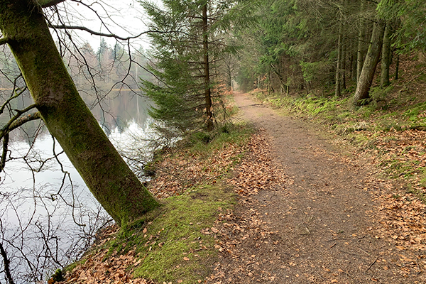 Hundsø er en hyggelig lille badesø i Vellingskovene. En sti fører hele vejen rundt om søen.