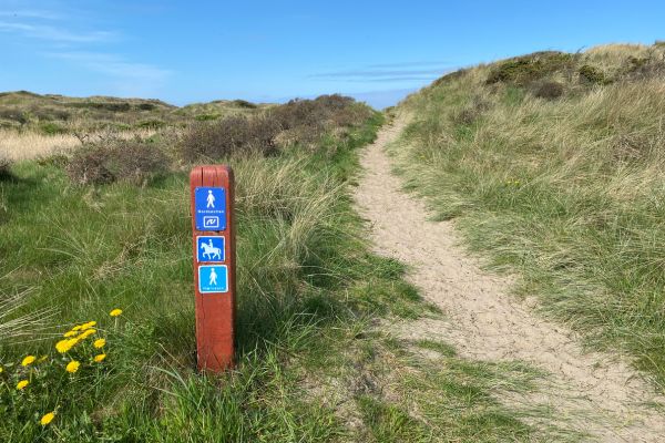 Fjernvandreruterne Hærvejen og Nordsøstien passerer klitplantagen