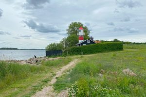 Rinkenæs Forfyr