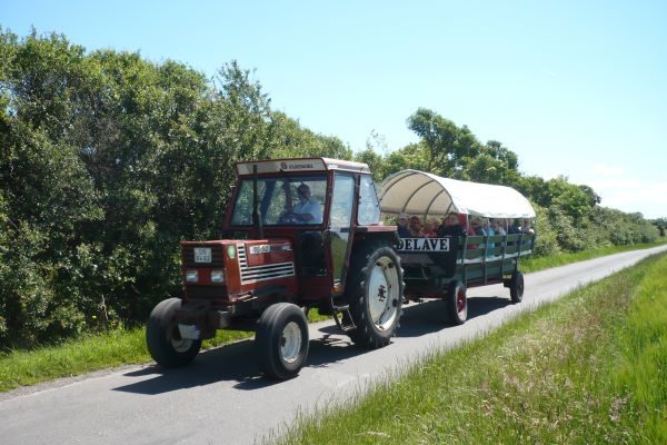 Traktor på Endelave