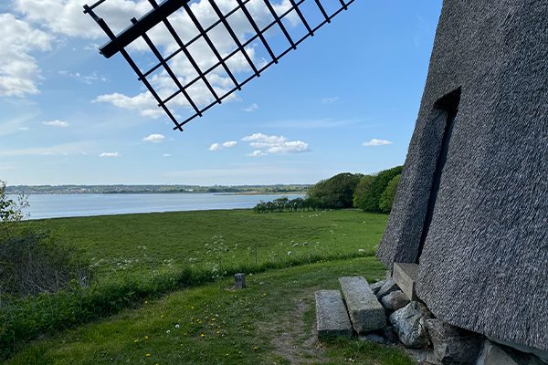 Udsigt fra Havnø Mølle