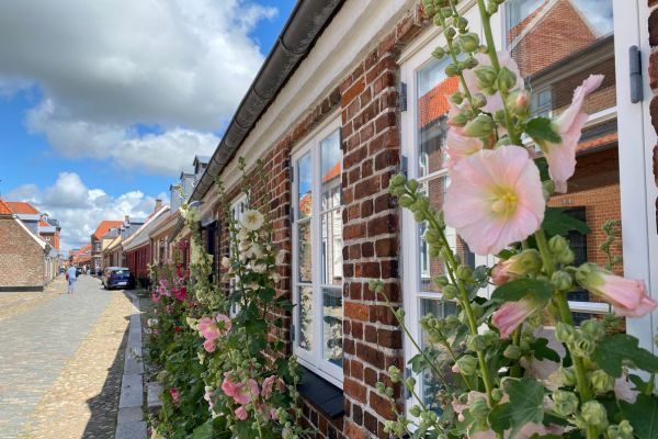 Roserne og røde mursten præger de hyggelige gader i Ringkøbing.