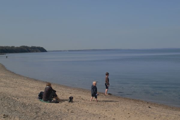 Stranden ved Trelde Næs