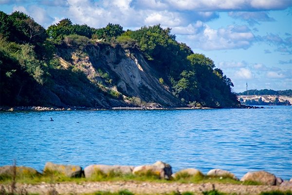 Trelde Klint rager 29 meter på fra stranden.