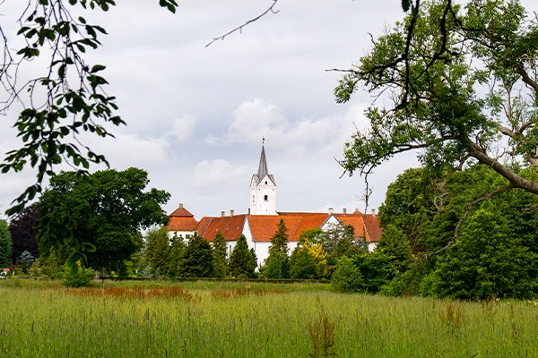 Der er masser af grønt omkring Dronninglund Slot.