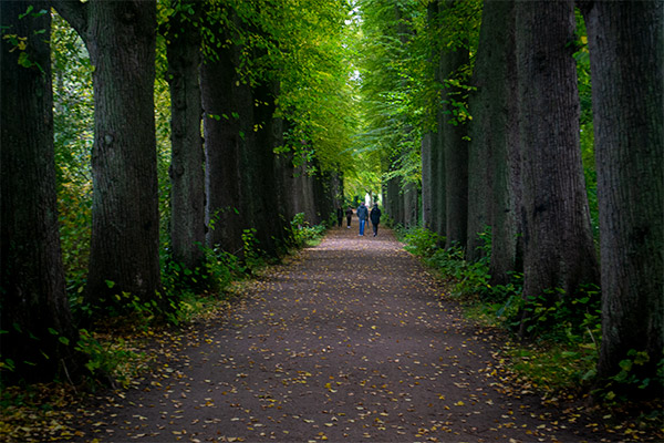 Den tilhørende slotspark indbyder til gåture