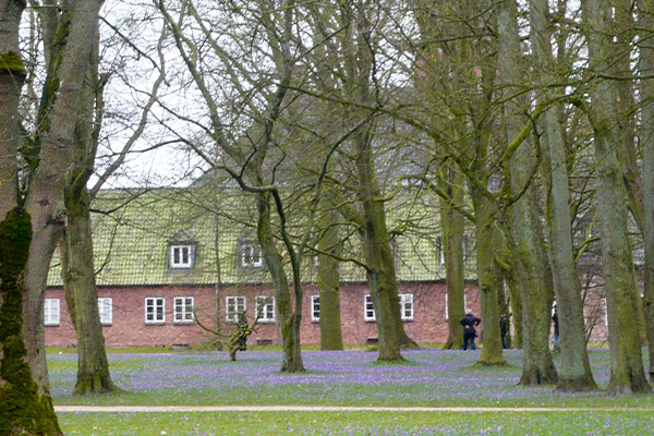 Hvert forår blomstrer tusindvis af krokus i slotsparken.