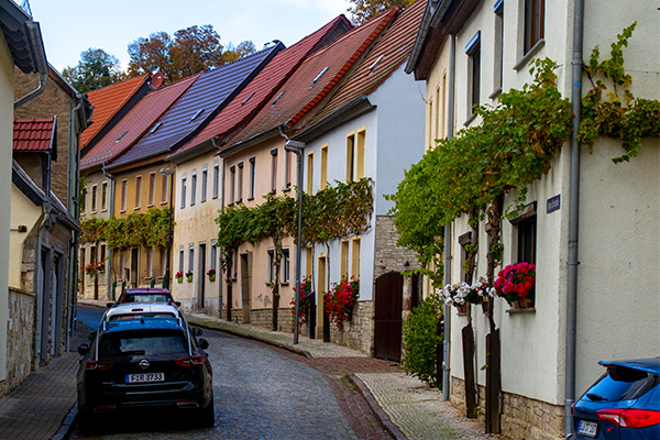 Vinrankerne vokser helt ind i byen