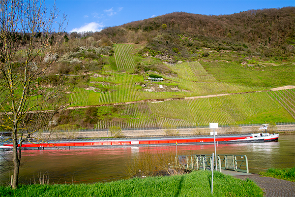 Mosel er også en vigtig transportåre, og mange enorme pramme flyder forbi dagen lang.