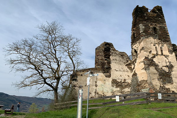 En del af klosterets sten er blevet brugt til at opføre huse i landsbyen.
