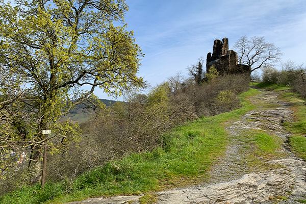 Klosterruinen udenfor Wolf er et oplagt udflugtsmål.