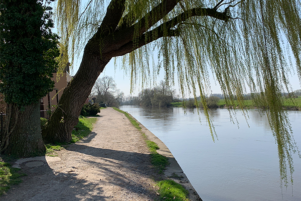 Tag en promenadetur langs floden Aller.