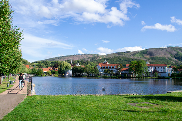Der er flere opstemmede søer i Ilsenburg. Den største er Forellenteich midt i byen.
