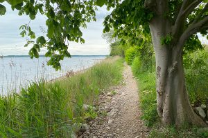Gendarmstien