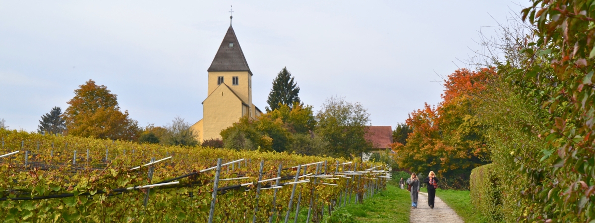 Reichenau