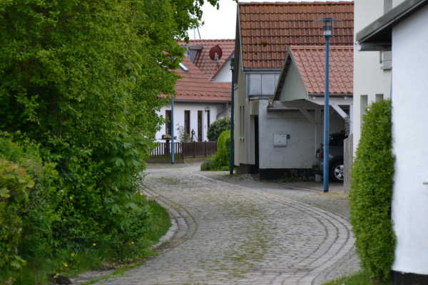 Krogede gyder vender i Wieck