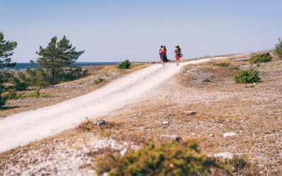 Gotlands varierte og spektakulære landskap