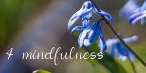 4 forskellige Mindfulness