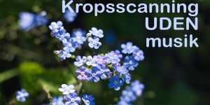 Kropsscanning uden musik