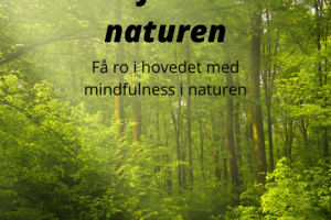 Mindfulness i naturen (1)