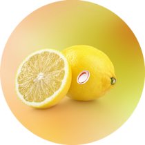 lemon (1)