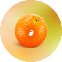 orange (2)