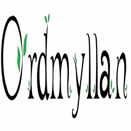 Ordmyllan