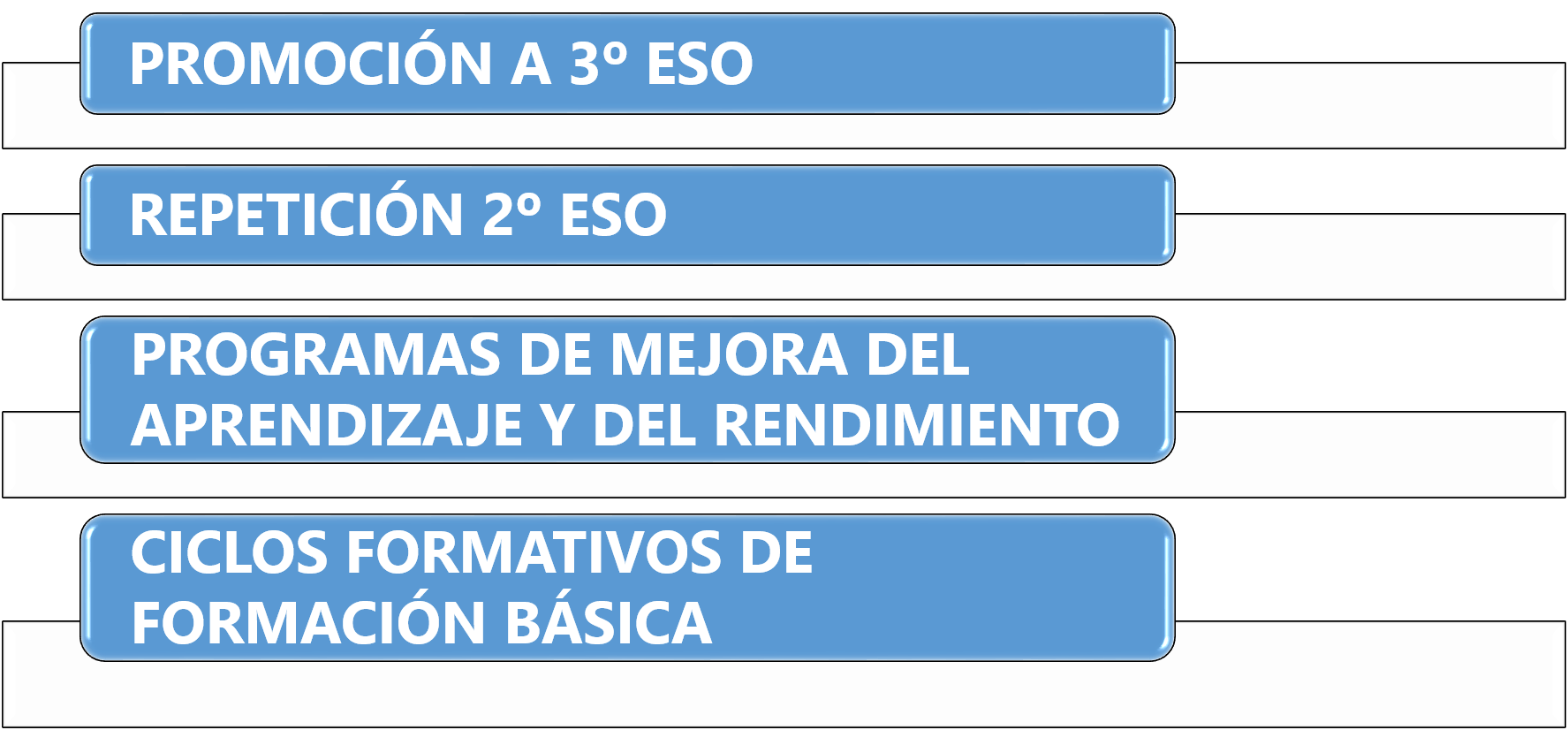 opciones 2º eso