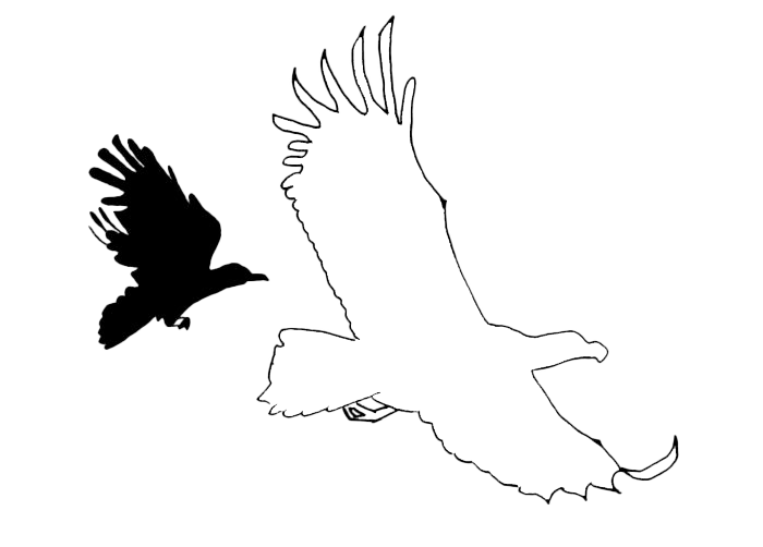 Örnen och kråkan logotyp